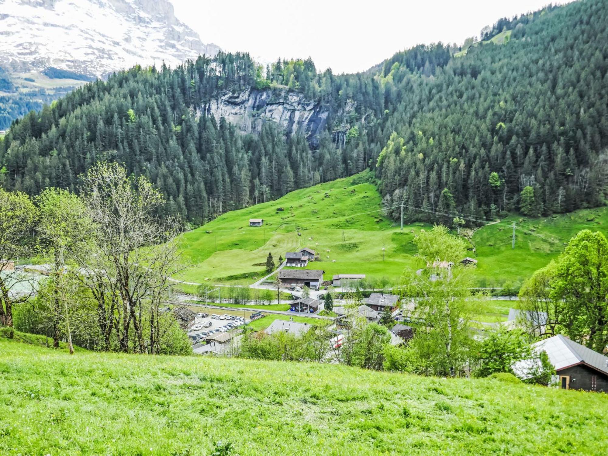 Apartment Auf dem Vogelstein.1 Grindelwald Exterior foto